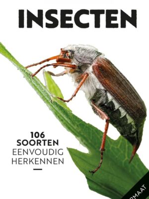 ANWB Basis Natuurgids - Insecten