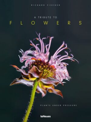 A tribute to flowers